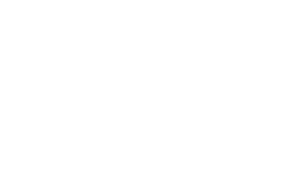 Buffalo Financial